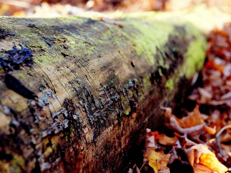 sudoku pattern learning screenshot 6